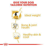 Thumbnail for Breed Health Nutrition Labrador Adult 12 KG