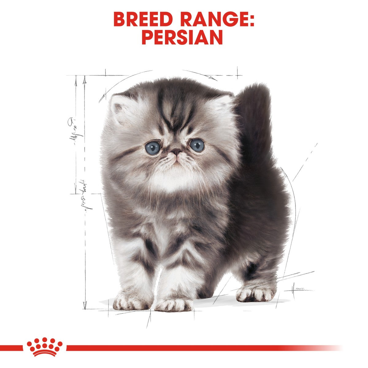 Feline Breed Nutrition Persian Kitten 2 KG