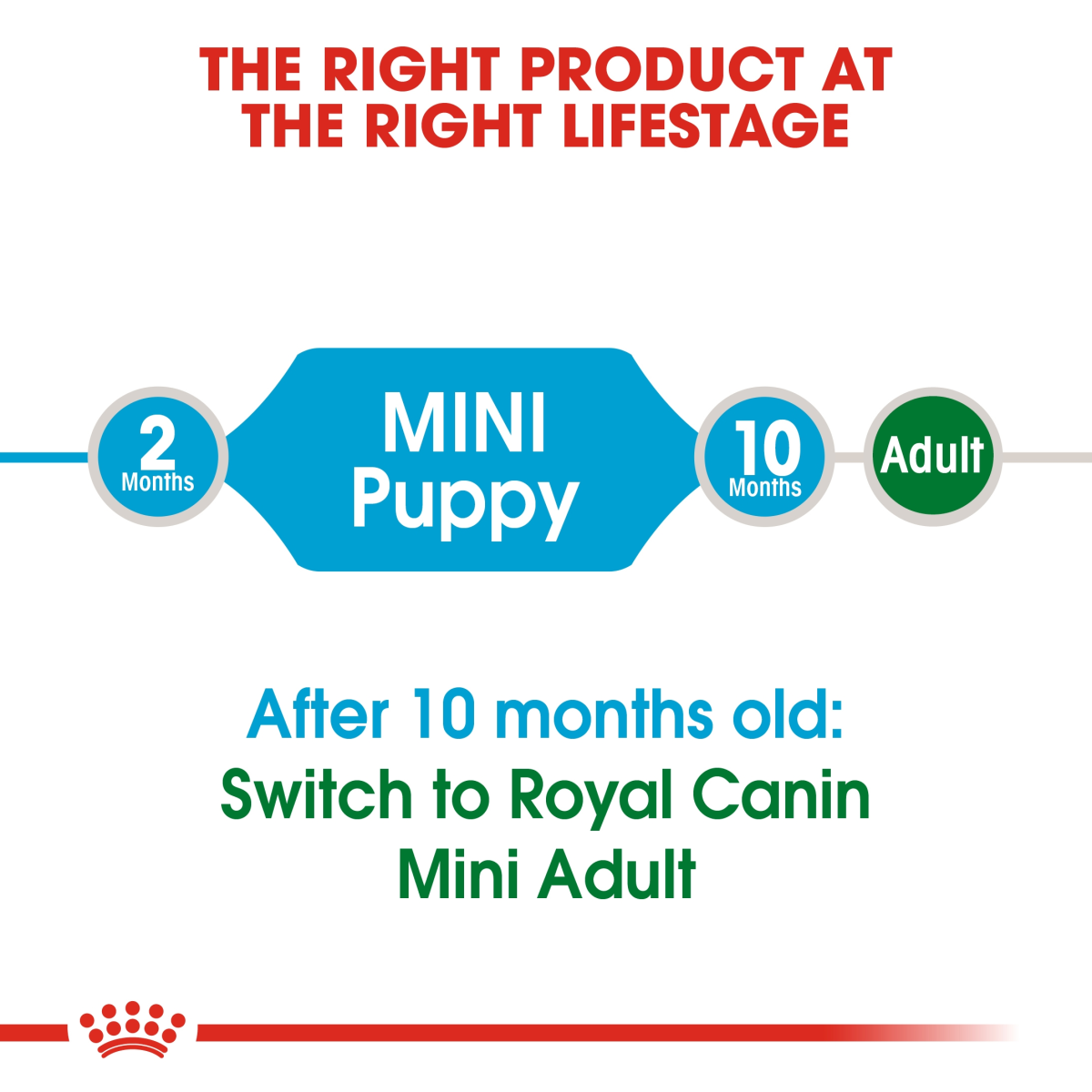 Size Health Nutrition Mini Puppy 4 KG