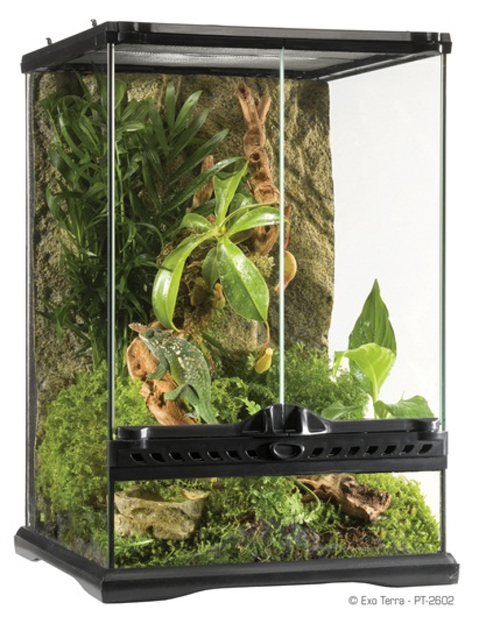 Exo Terra Natural Terrarium Mini Mini/Tall 30 x 30 x 45cm