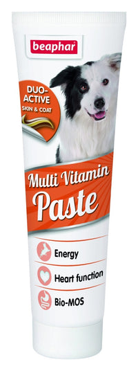 Thumbnail for Duo Active Paste Multivitamin Dog 100g