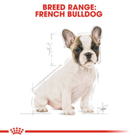 Thumbnail for Breed Health Nutrition French Bulldog Puppy 3 KG