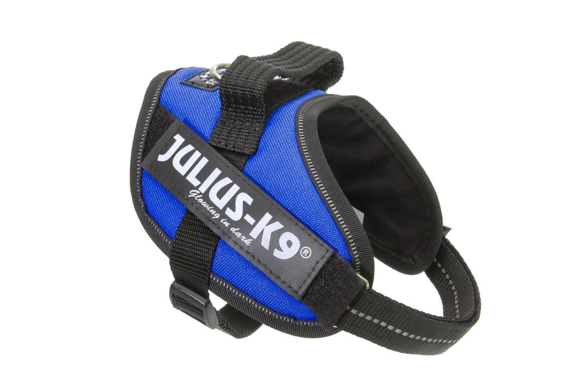 IDC Powerharness - Blue / Size Mini-Mini