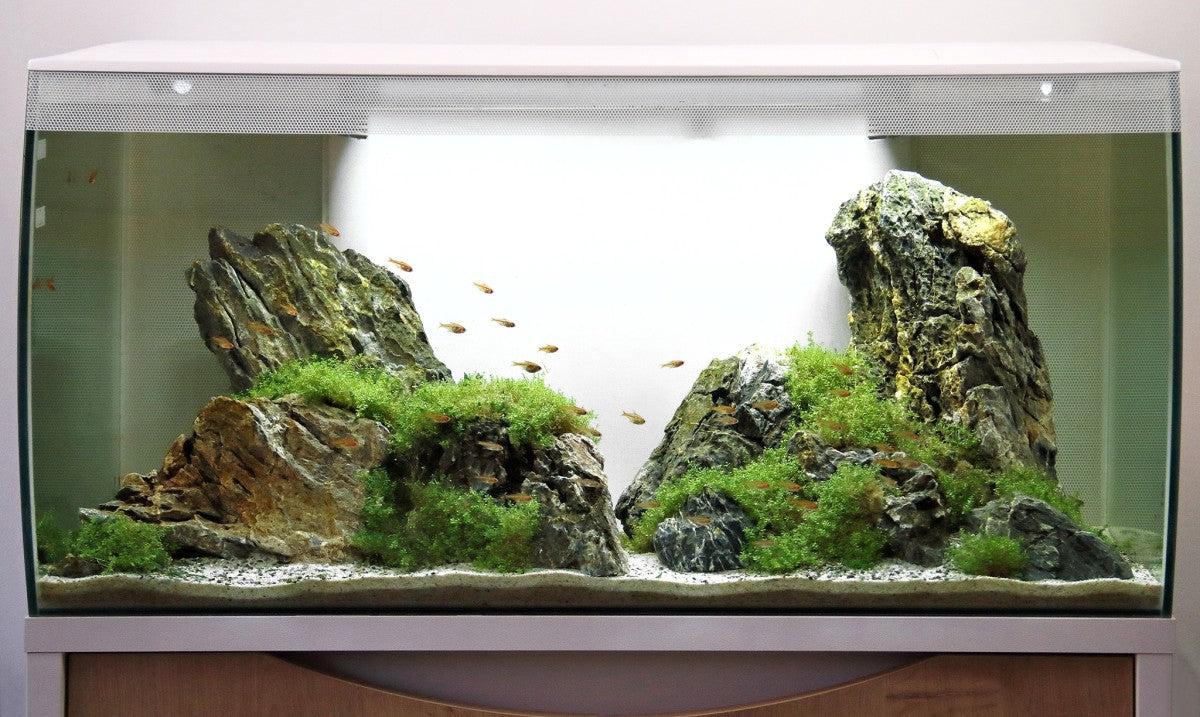 Fluval Flex Aquarium Kit 123L- White