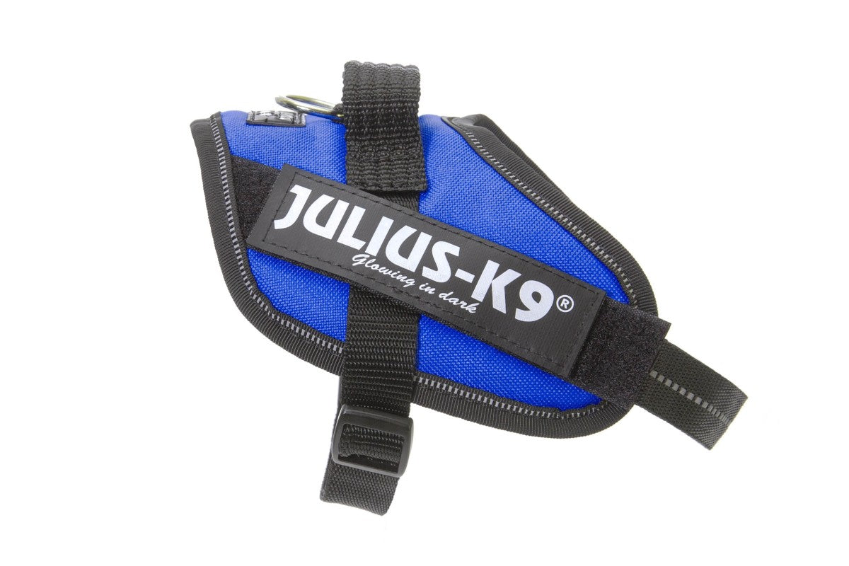 IDC Powerharness - Blue / Size Mini-Mini