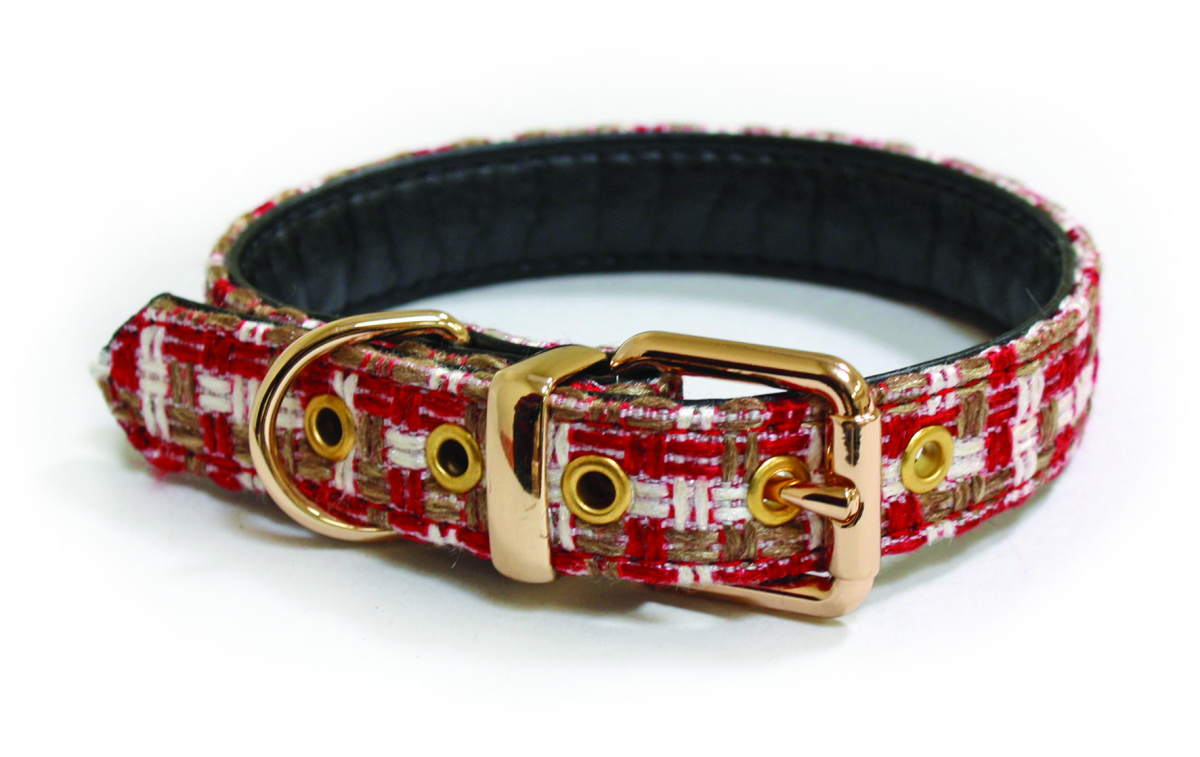 Kalika Texture Dog Collar 2.5 x 50 cm