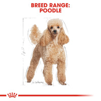 Thumbnail for Breed Health Nutrition Poodle Adult 1.5 KG