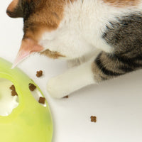 Thumbnail for Catit Treat Spinner