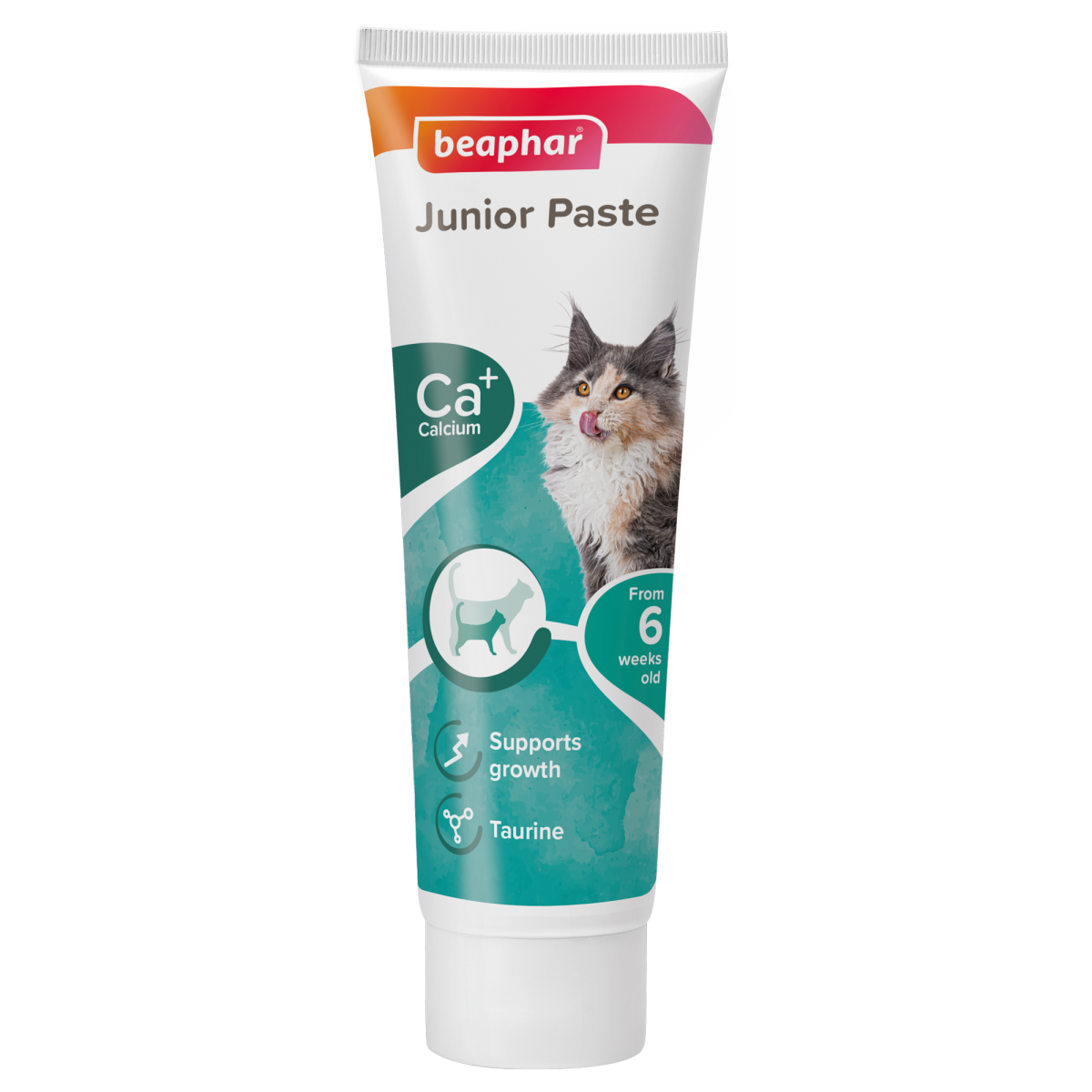 Junior Paste - Cat / 100 g