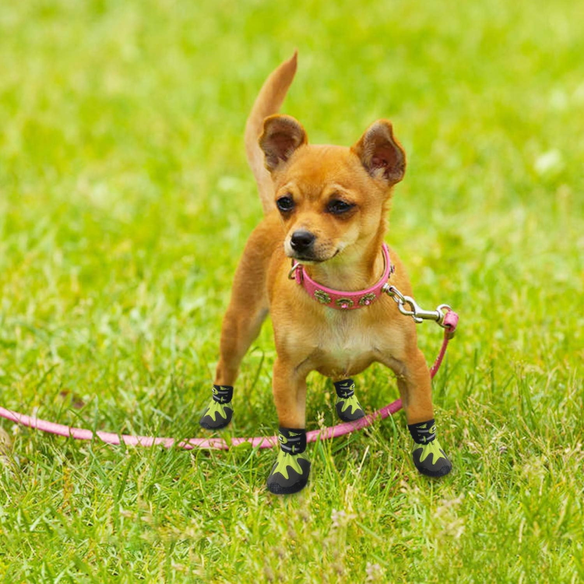 Outdoor Dog Shoes - Green / XL