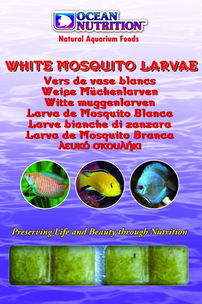 White Mosquito Larvae 100g