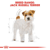 Thumbnail for Breed Health Nutrition Jack Russell Adult 1.5 KG