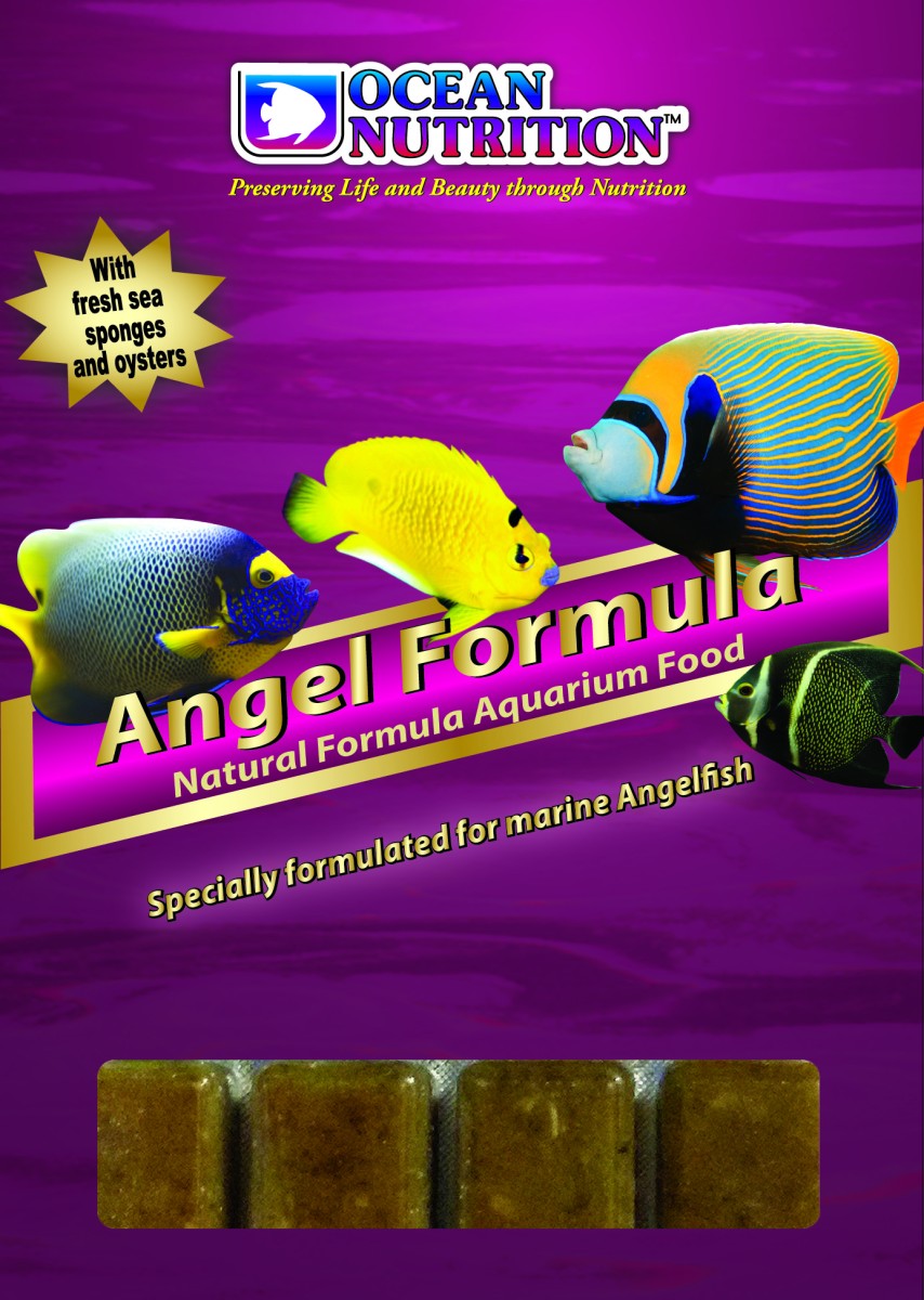 Frozen Angel Formula 100g