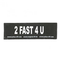 Thumbnail for 2 FAST 4 U PATCH - SMALL