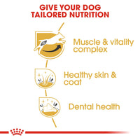 Thumbnail for Breed Health Nutrition Jack Russell Adult 1.5 KG