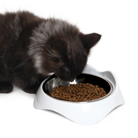 Thumbnail for Catit Pixi Dual Feeding Feeding Dish - White