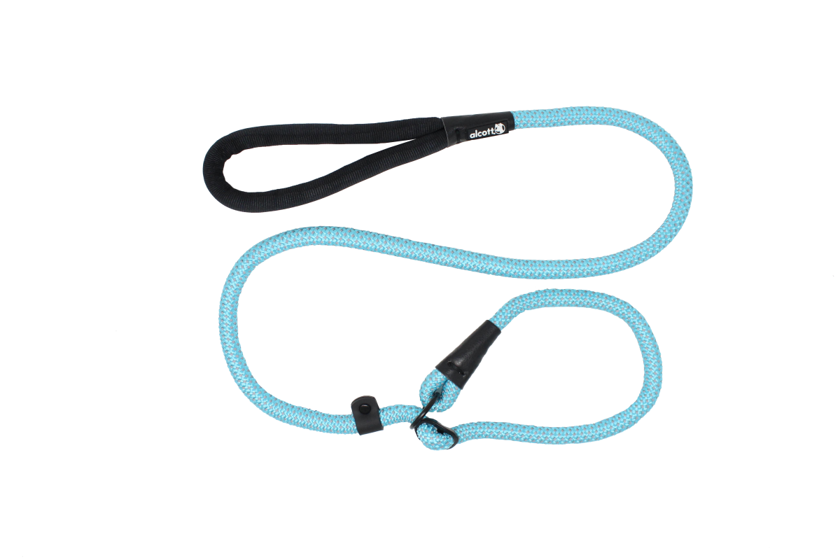 Slip Rope Leash 150cm, Blue