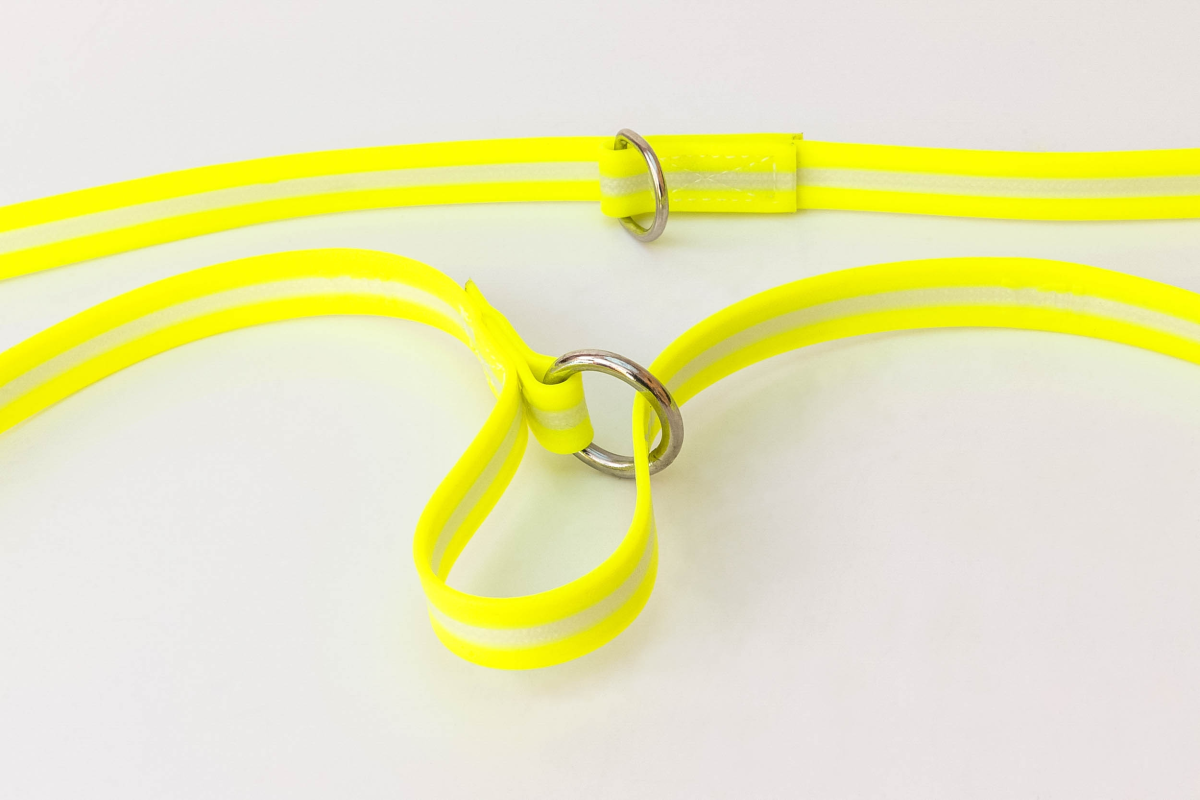 IDC Lumino Adjustable Leash - Sun / Width 1.9 cm & Length 2.2 Meter