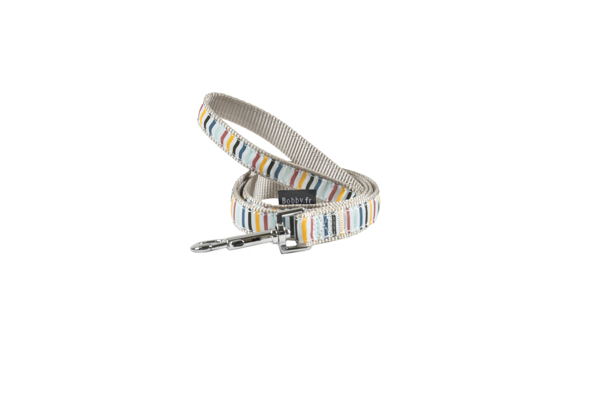 Nala Leash - Grey / Medium