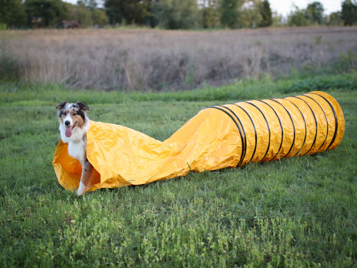 Professional Sack Tunnel