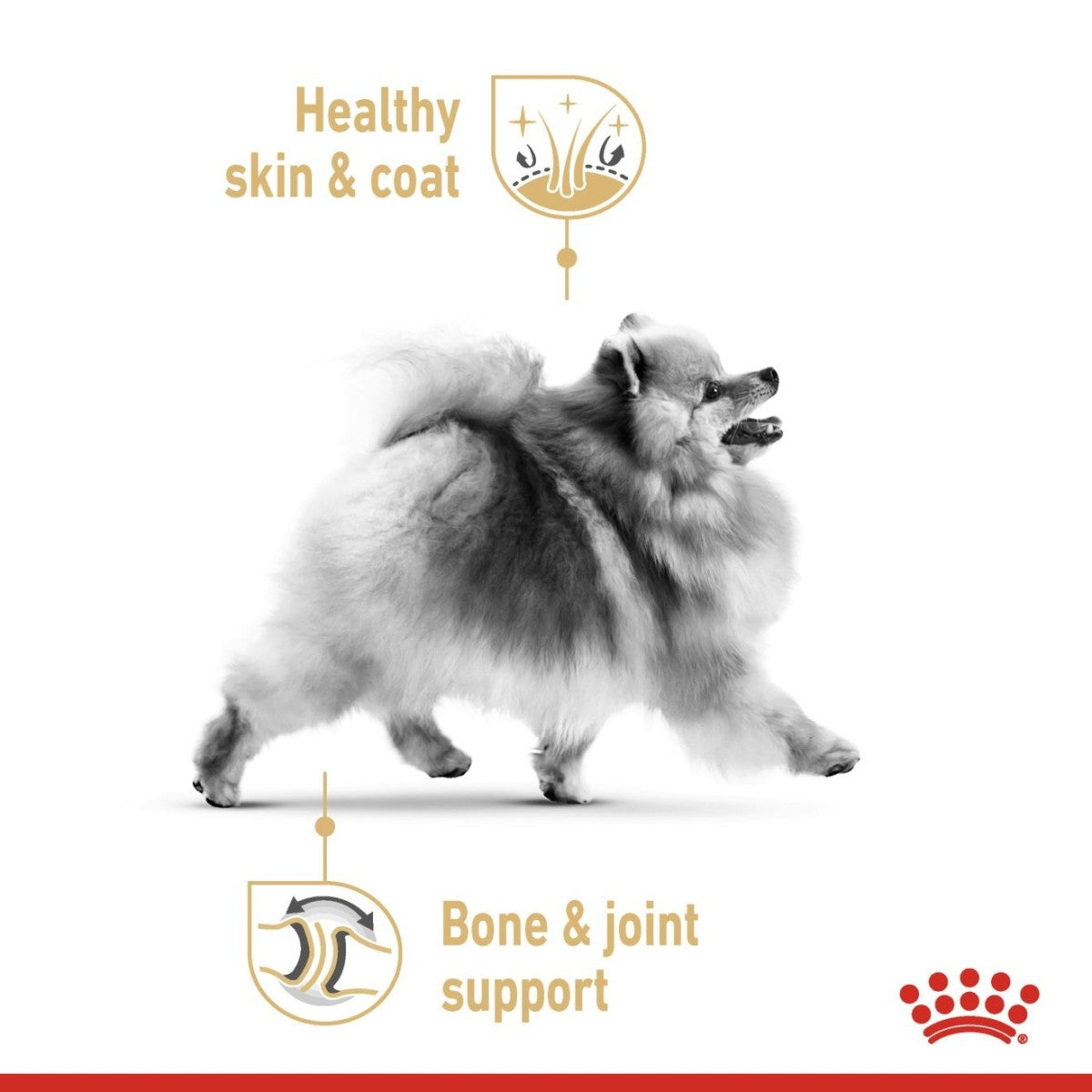 Breed Health Nutrition Pomeranian (WET FOOD - Pouches) 12 x 85g