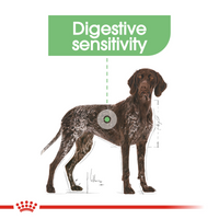 Thumbnail for Canine Care Nutrition Maxi Digestive Care 12 KG