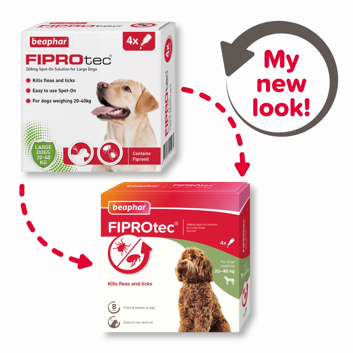 Fiprotec for Large Dog - 4 Pipettes