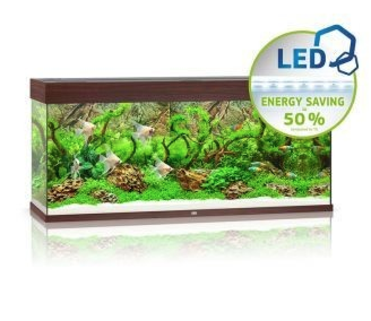 Rio 240 LED - Dark Wood