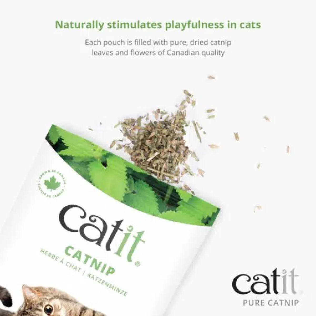 Catit Dried Catnip - 28g