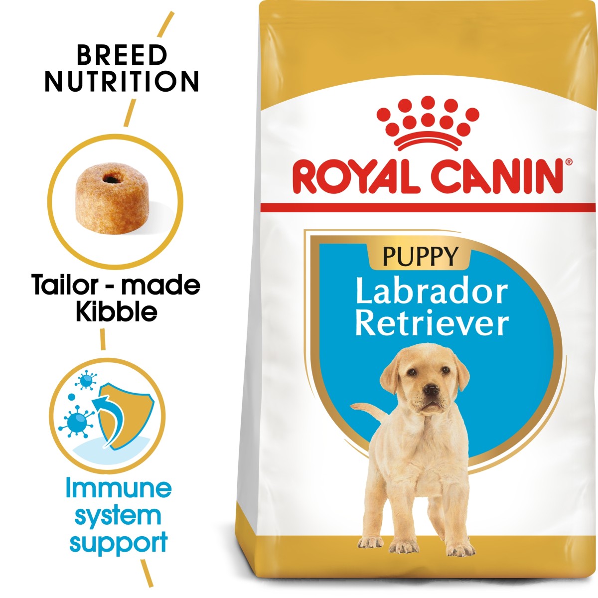 Breed Health Nutrition Labrador Puppy 12 KG