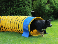 Thumbnail for Professional Agility Tunnel, Yellow