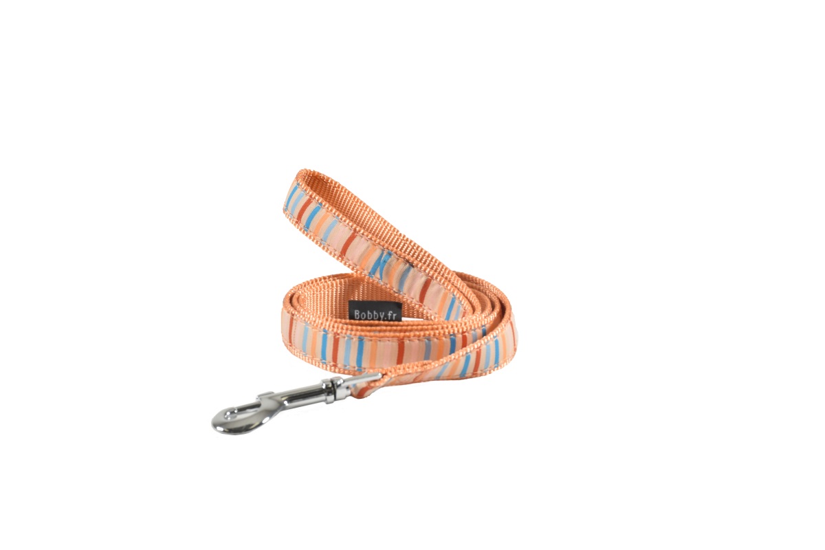 Nala Leash - Apricot / Large