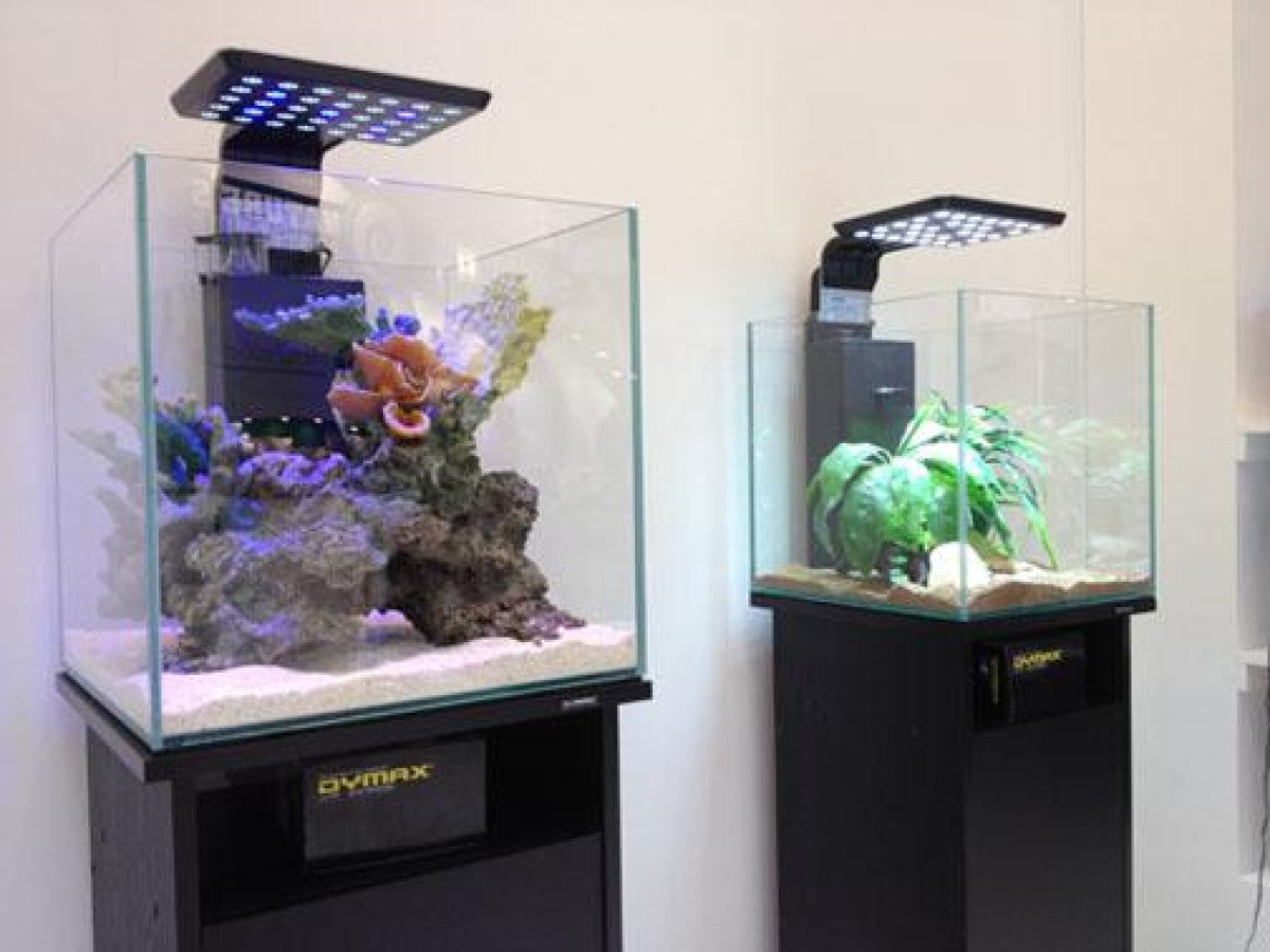 Dymax Crystal Clear Cube Tank 46 cm