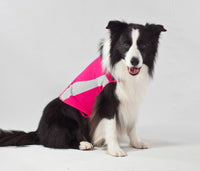 Thumbnail for ThunderShirt Dog Pink S