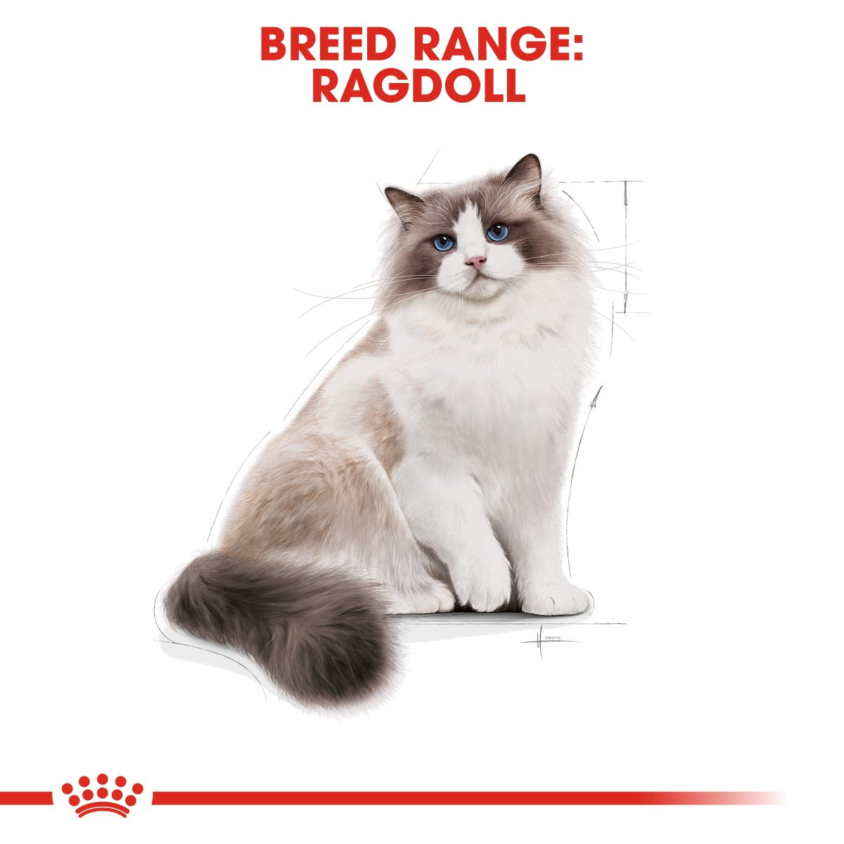 Feline Breed Nutrition Ragdoll Adult 2 KG