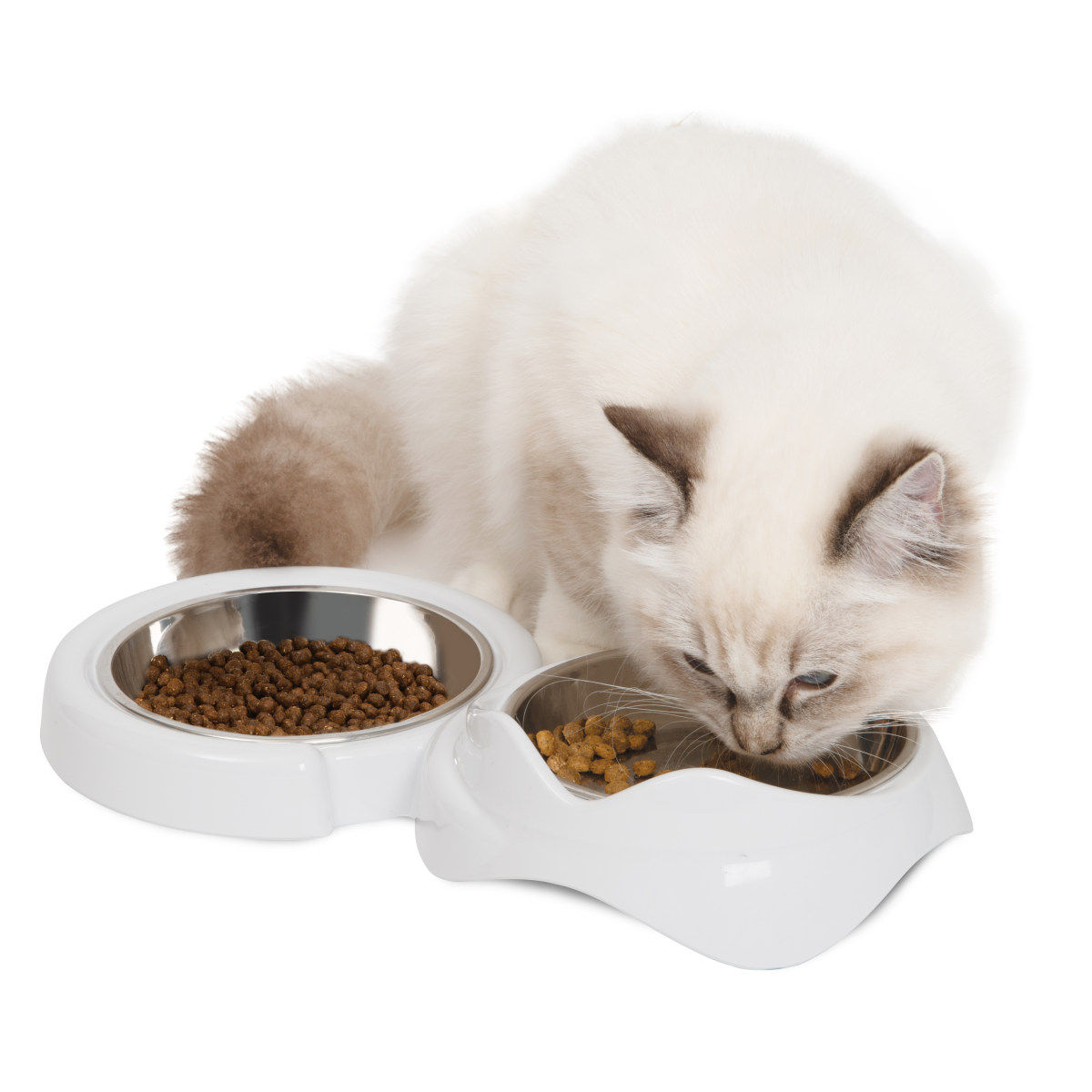 Catit Pixi Dual Feeding Dish - White