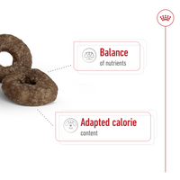 Thumbnail for Size Health Nutrition Mini Ageing 12+ 1.5 KG