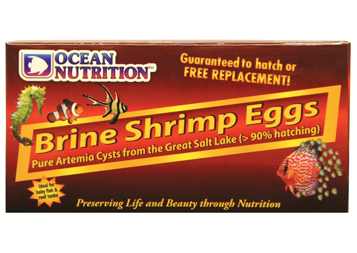 Brine Shrimp Eggs 20g