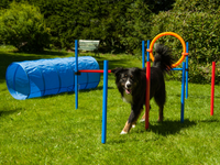 Thumbnail for Agility Set K2