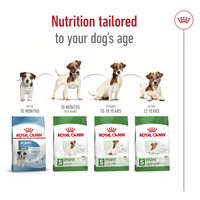 Thumbnail for Size Health Nutrition Mini Ageing 12+ 1.5 KG