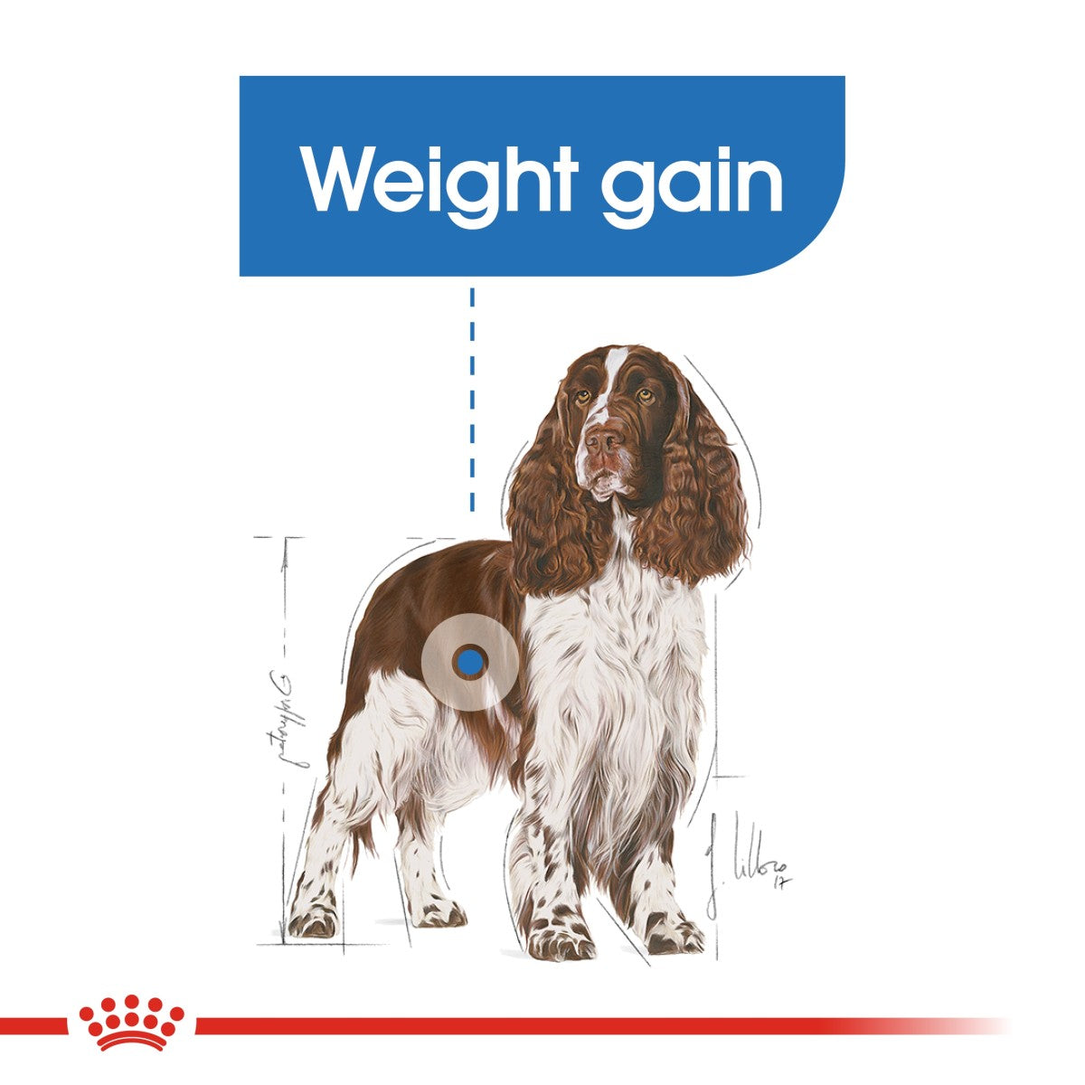 Canine Care Nutrition Medium Light Weight Care 3 KG