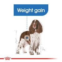 Thumbnail for Canine Care Nutrition Medium Light Weight Care 3 KG