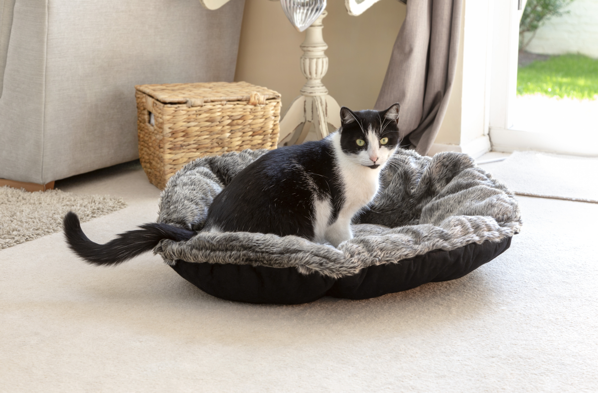 Mikki Cat Luxury Magic Pet Bed Pillow - Charcoal