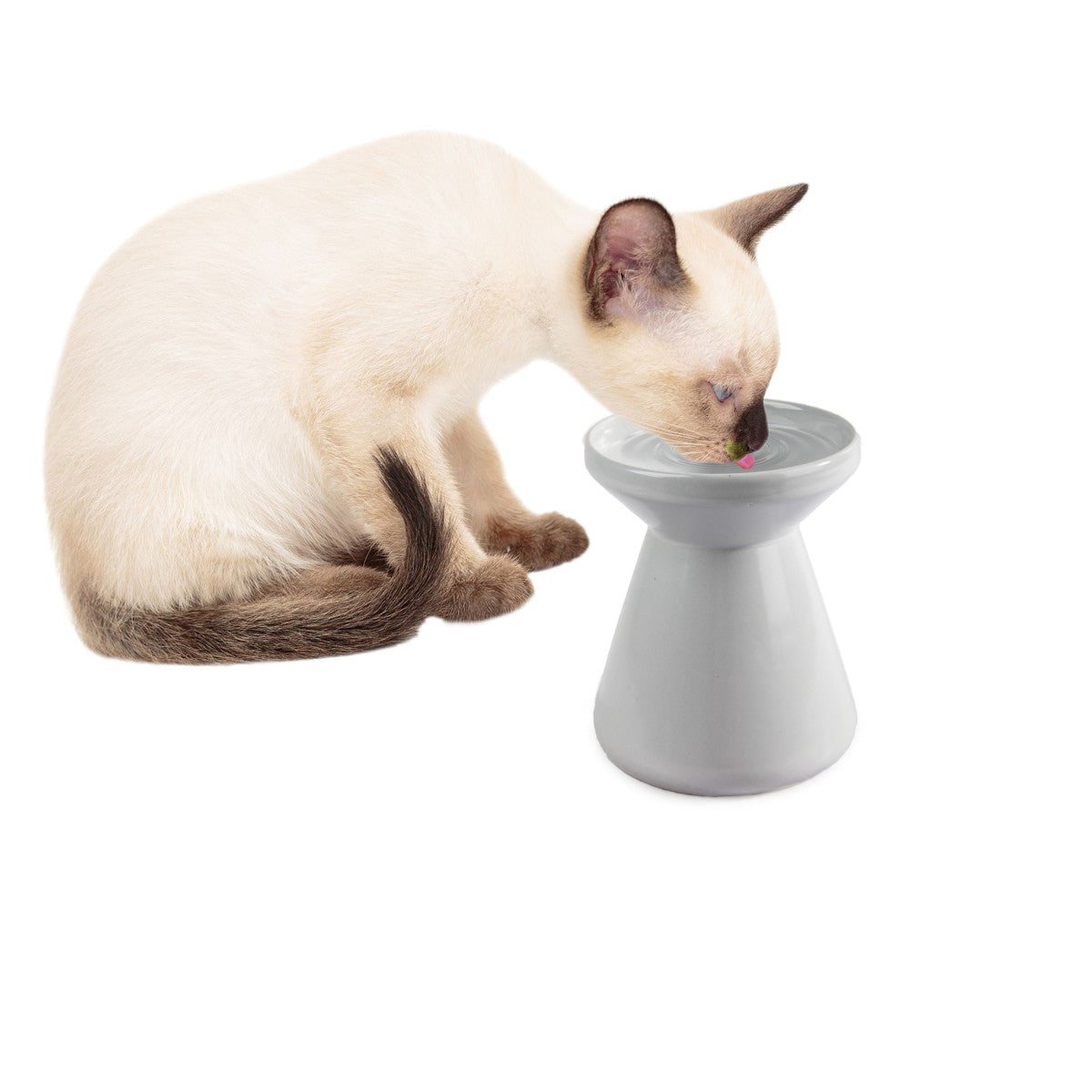 Elevated Pet Water Bowl - White