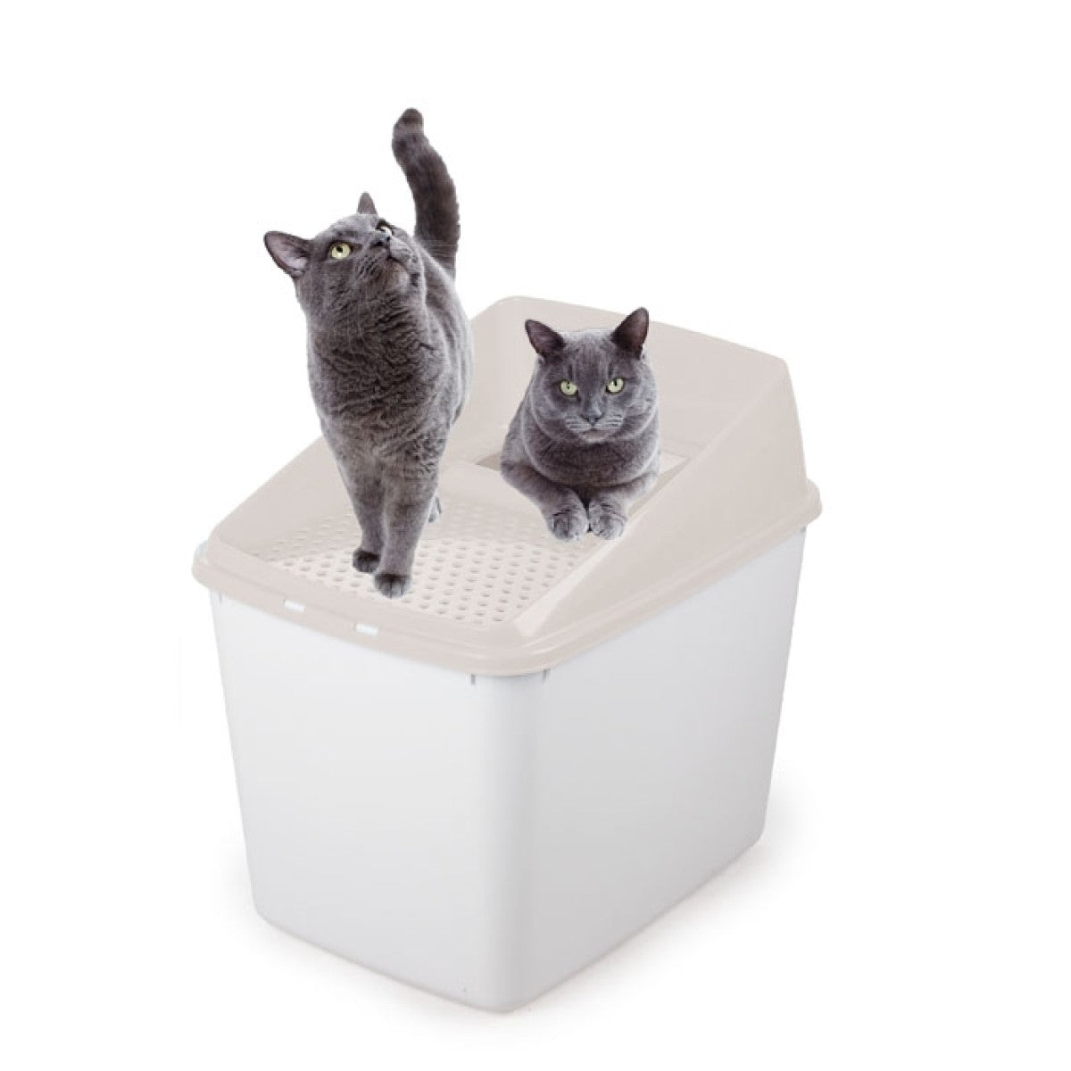 No Mess litter Box - Sand