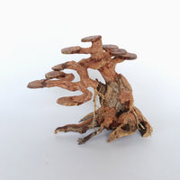 Thumbnail for Copper Wood Tree - Medium / 30x23x13cm / BOX