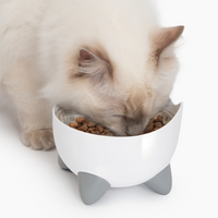 Thumbnail for CatIt Pixi Drinking Fountain - Combo pack/White