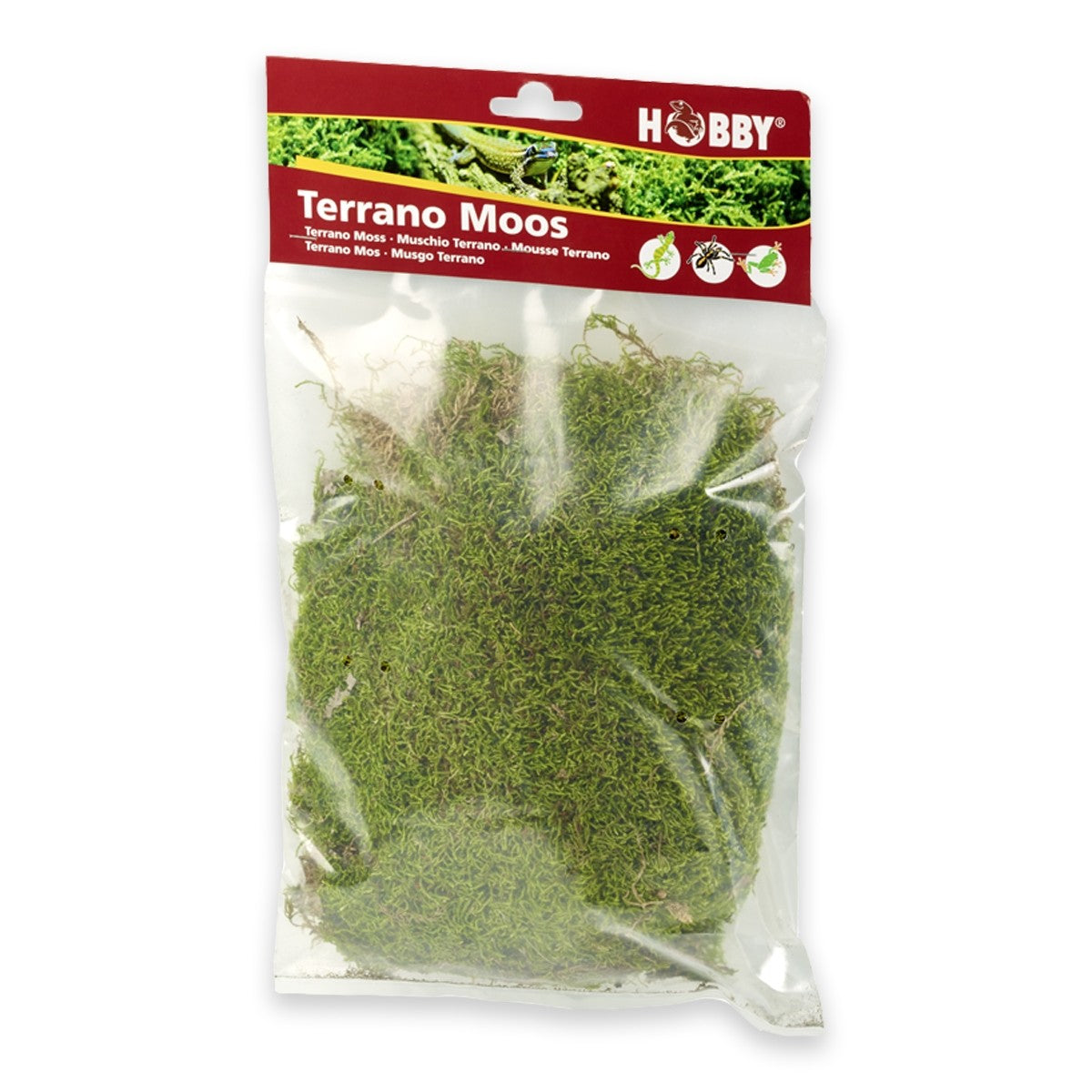 Terrano Natural Moss