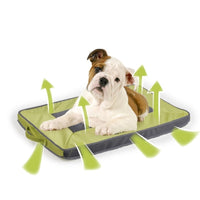 Thumbnail for Quick Dry Outdoor Dog Mat M - Green