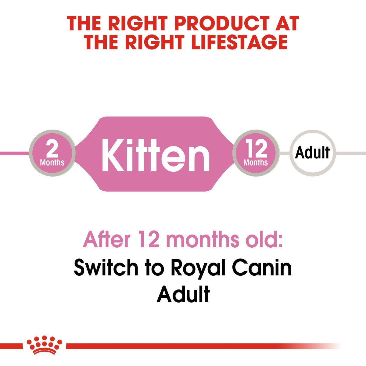 Feline Health Nutrition Kitten Jelly (WET FOOD - Pouches) 12x85G